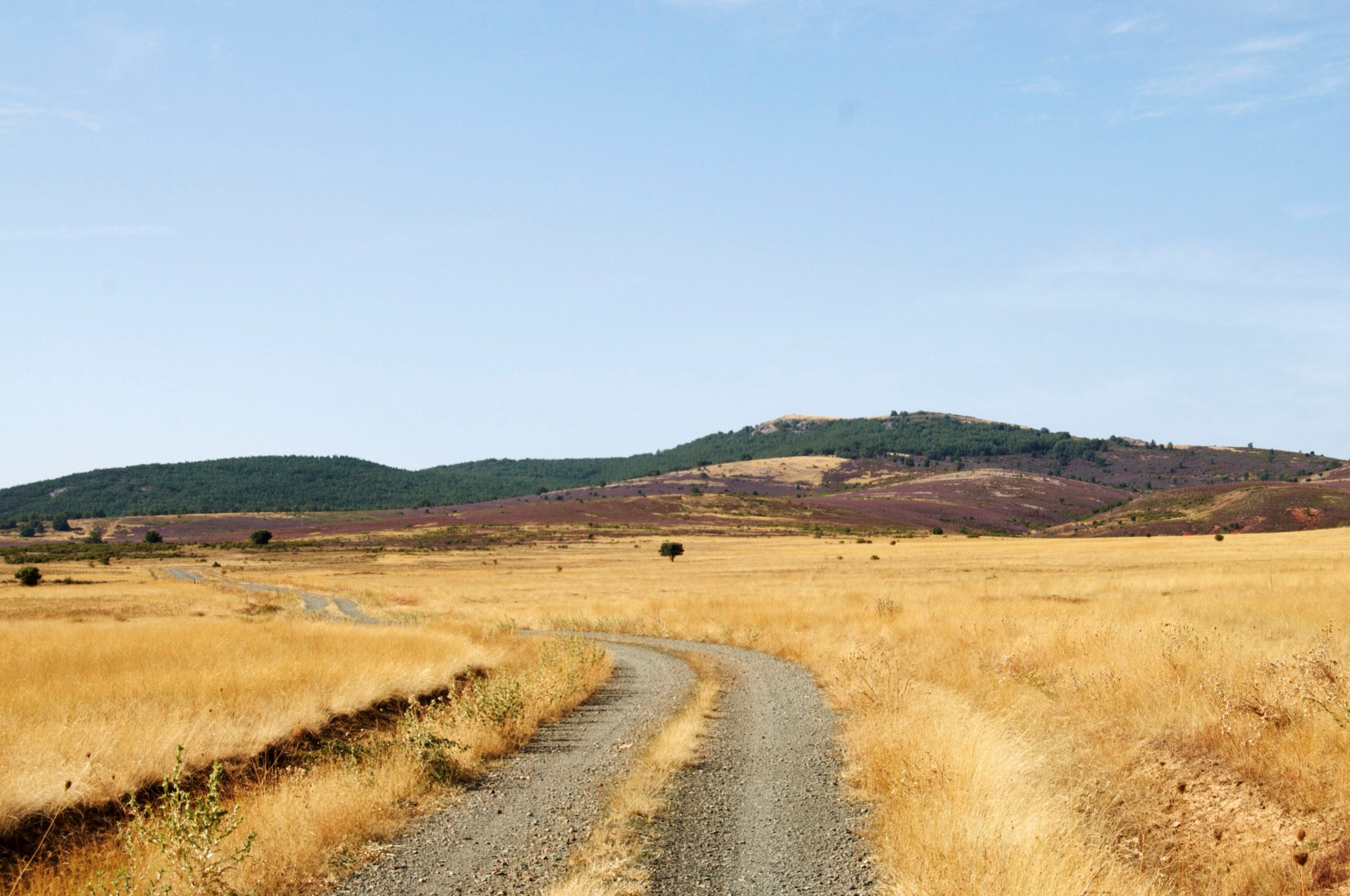 Camino de peregrinación por el entorno de Atienza