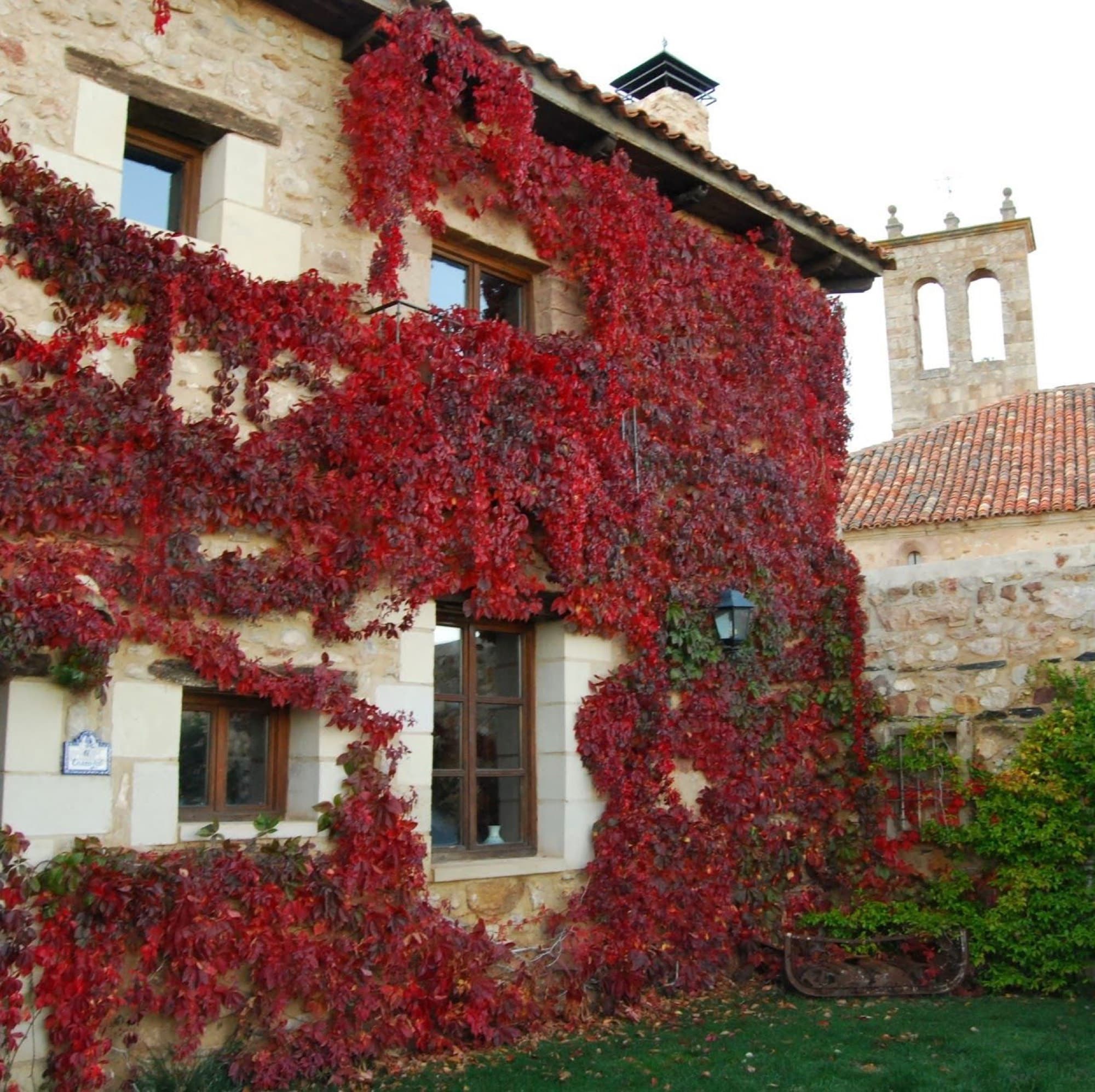 Casa Rural Casa de San Gil en Atienza